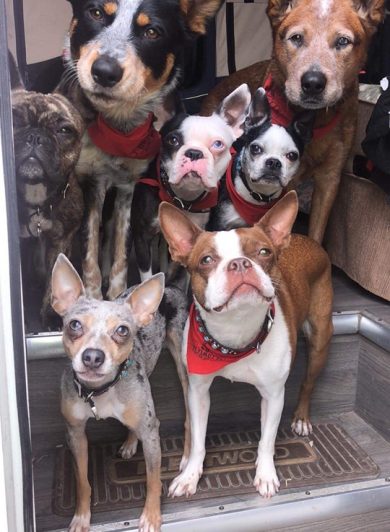 Ulimutts family