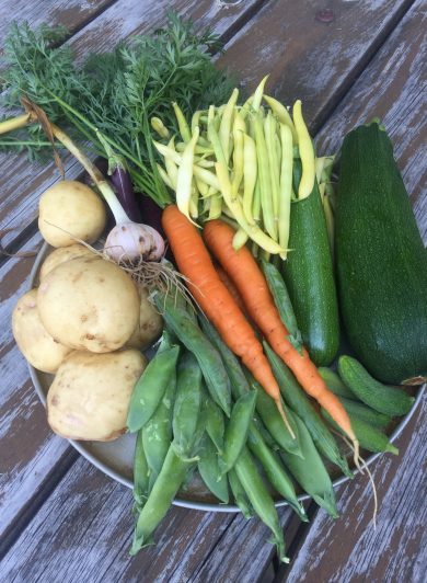 More harvest